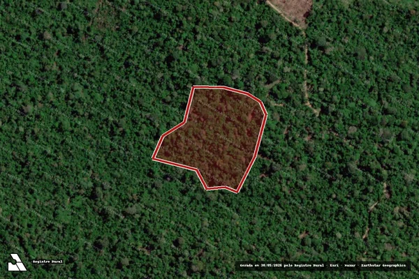 Imagem de satélite de Infração da Flora em Anapu - PA