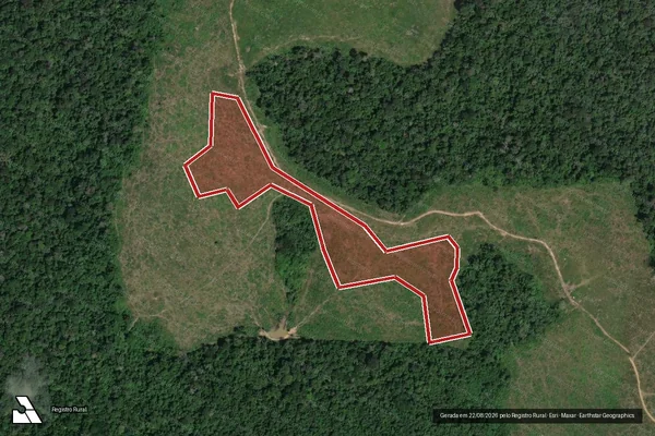 Imagem de satélite de Infração Ambiental em Altamira - PA