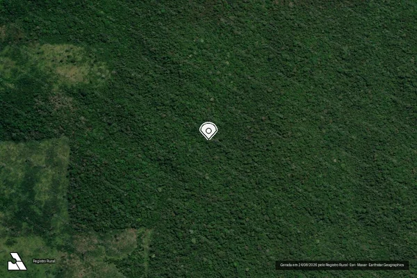 Imagem de satélite de Infração Ambiental em Rurópolis - PA (marcador da localização)