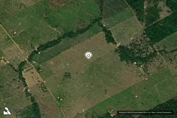 Imagem de satélite de Infração da Flora em Manicoré - AM (marcador da localização)