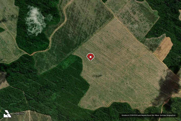 Imagem de satélite de Infração Ambiental em Dom Eliseu - PA (marcador da localização)