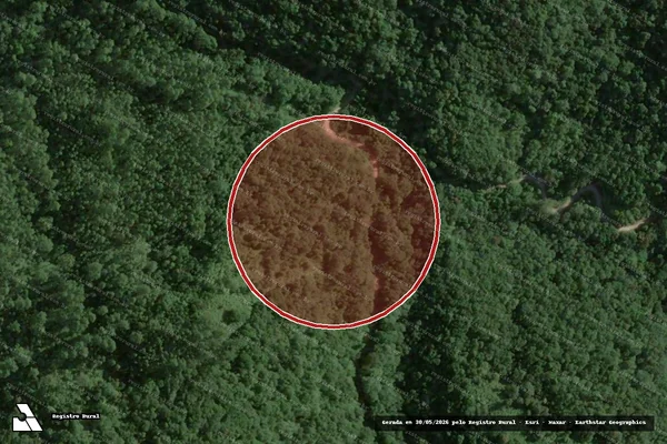 Imagem de satélite de Infração Ambiental em Brusque - SC