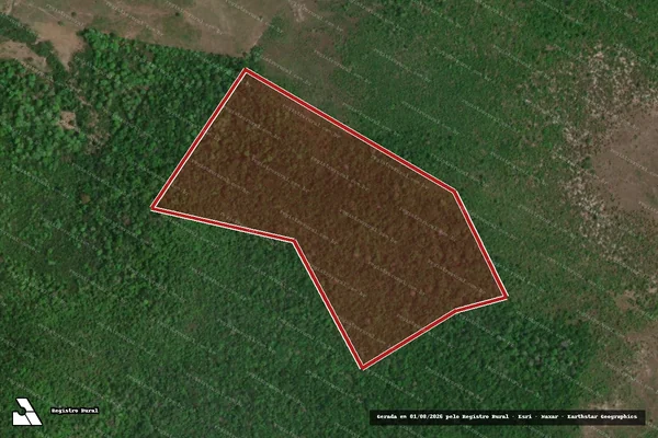 Imagem de satélite de Infração Ambiental em Monte Alegre - PA