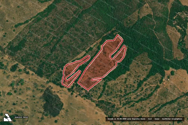 Imagem de satélite de Infração da Flora em Corumbaíba - GO