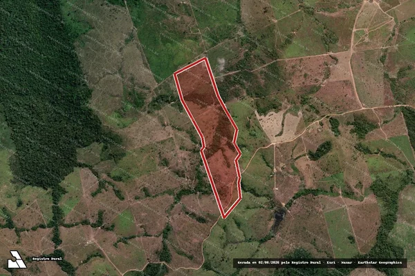 Imagem de satélite de Infração Ambiental em Novo Progresso - PA