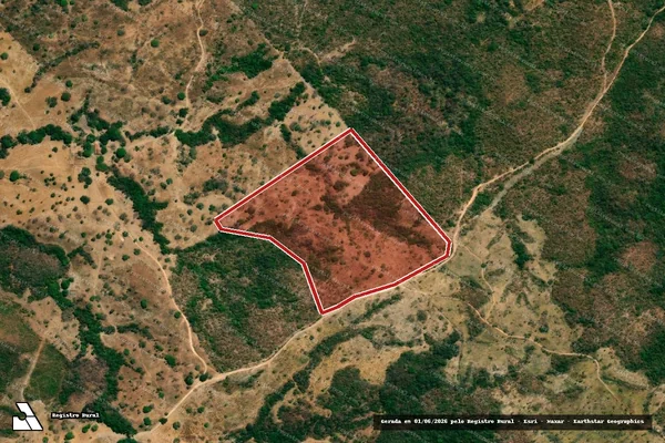 Imagem de satélite de Infração Ambiental em Faina - GO