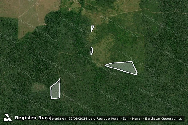 Imagem de satélite — Embargo Ambiental — Tomé-Açu/PA