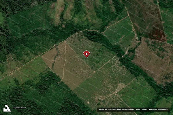 Imagem de satélite de Infração Ambiental em Apuí - AM (marcador da localização)