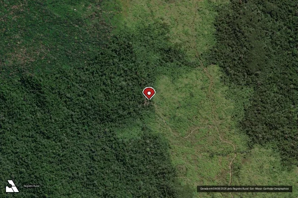 Imagem de satélite de Infração Ambiental em Novo Progresso - PA (marcador da localização)