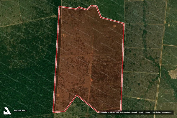 Imagem de satélite de Infração da Flora em Porto Velho - RO