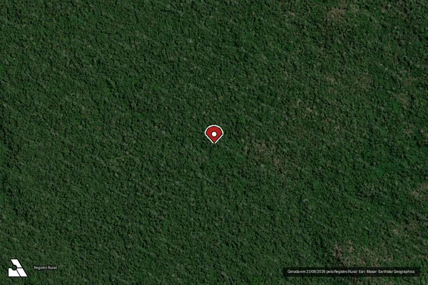 Imagem de satélite de Infração Ambiental em Placas - PA (marcador da localização)