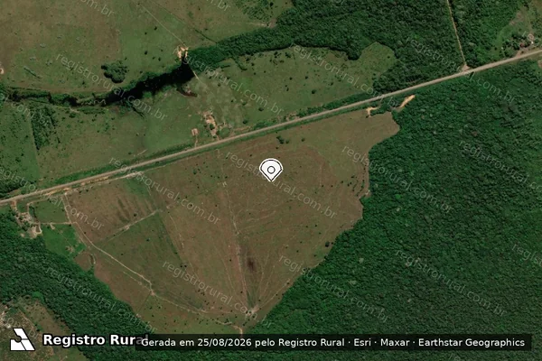 Imagem de satélite de Infração da Flora em Canutama - AM (marcador da localização)