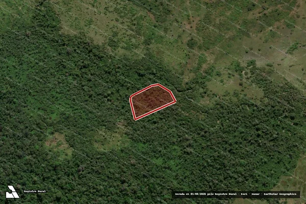 Imagem de satélite de Infração da Flora em São Félix do Xingu - PA