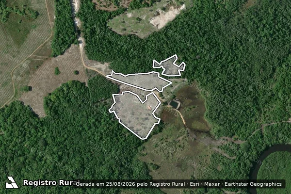 Imagem de satélite de Infração da Flora em Jaguaripe - BA