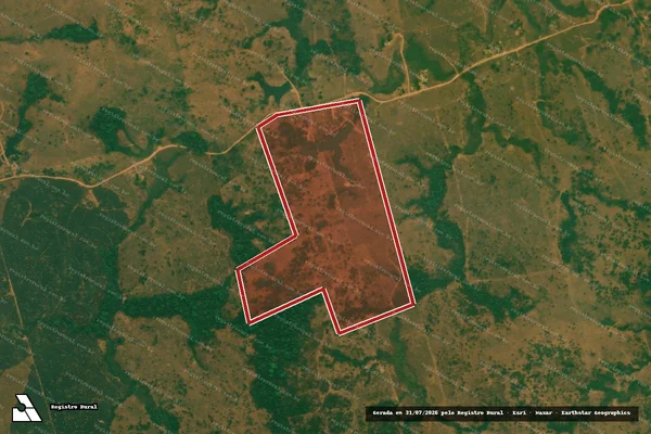 Imagem de satélite de Desmatamento em Porto Velho - RO