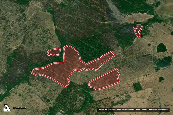 Imagem de satélite de Infração da Flora em Careiro da Várzea - AM
