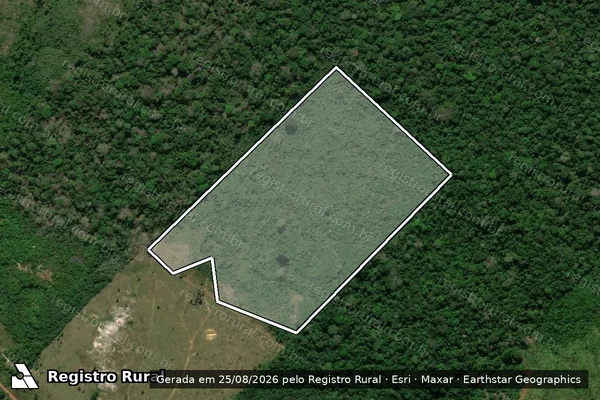 Imagem de satélite de Infração da Flora em Apuí - AM