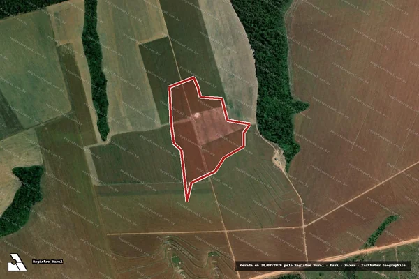 Imagem de satélite de Infração da Flora em Novo Progresso - PA