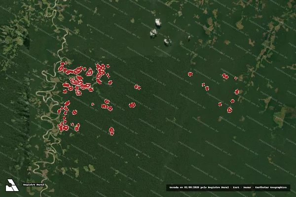 Imagem de satélite de Infração da Flora em Feijó - AC