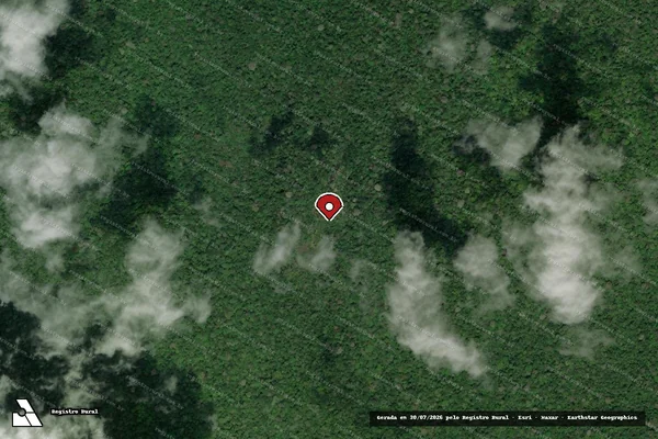 Imagem de satélite de Infração Ambiental em Pracuúba - AP (marcador da localização)