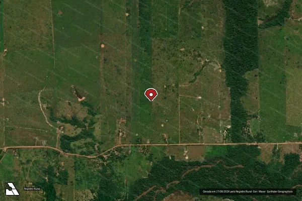 Imagem de satélite de Infração da Flora em Porto Velho - RO (marcador da localização)