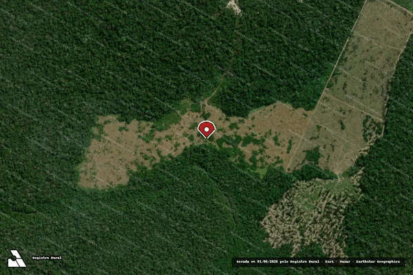 Imagem de satélite de Infração Ambiental em Humaitá - AM (marcador da localização)