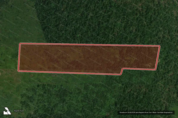 Imagem de satélite de Infração da Flora em Porto Velho - RO