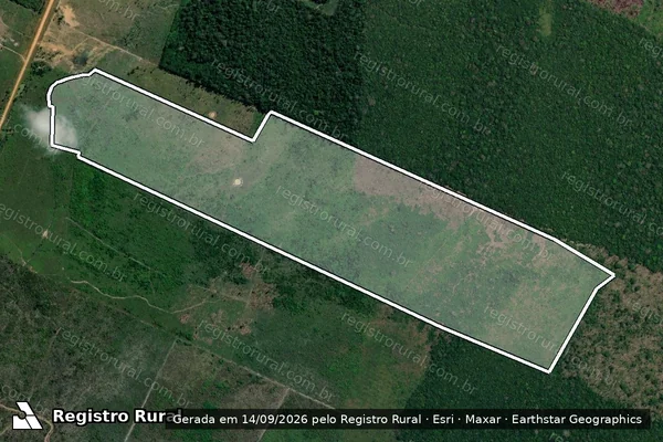 Imagem de satélite de Infração Ambiental em Humaitá - AM