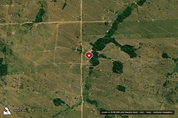 Imagem de satélite de Infração da Flora em Campo Novo de Rondônia - RO (marcador da localização)