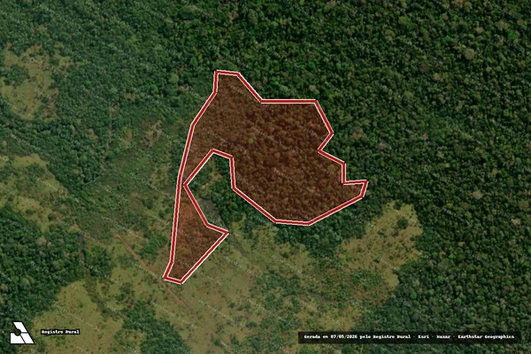 Imagem de satélite — Embargo Ambiental — Porto Velho/RO