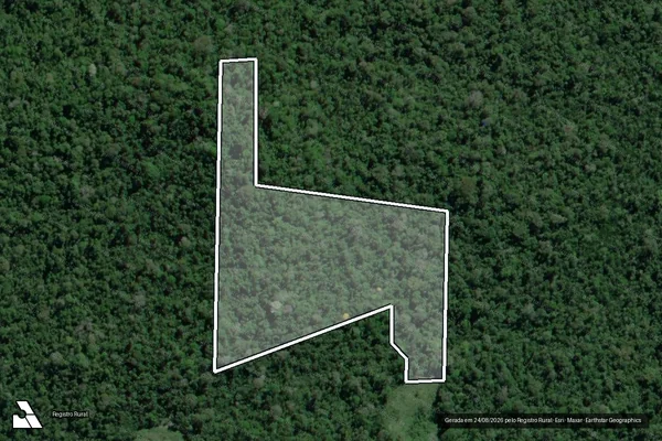 Imagem de satélite de Infração da Flora em Pacajá - PA