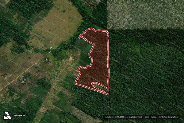 Imagem de satélite de Infração da Flora em Porto Velho - RO