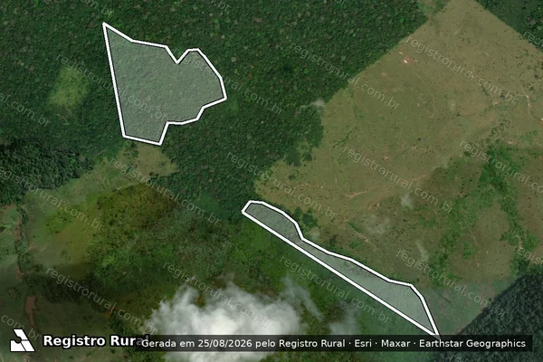 Imagem de satélite de Infração da Flora em Óbidos - PA