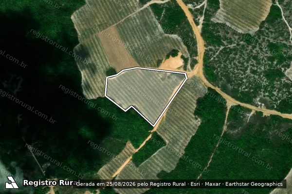 Imagem de satélite de Infração da Flora em Baía da Traição - PB