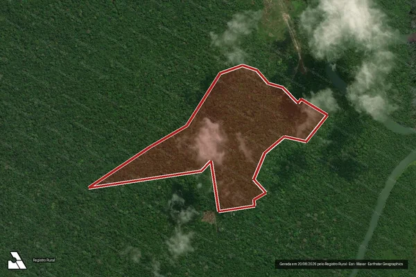 Imagem de satélite de Infração Ambiental em Portel - PA
