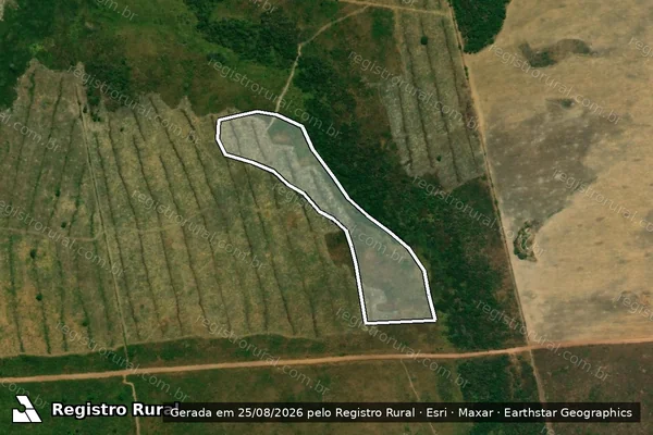 Imagem de satélite de Infração Ambiental em Vila Rica - MT