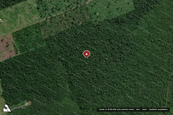 Imagem de satélite — Embargo IBAMA — Infração da Flora - Rurópolis/PA