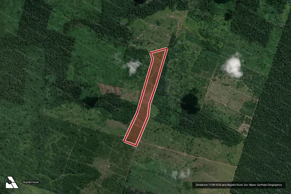 Imagem de satélite de Infração Ambiental em Humaitá - AM