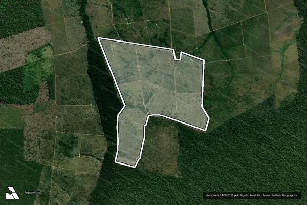 Imagem de satélite — Embargo IBAMA — Infração da Flora — Apuí/AM