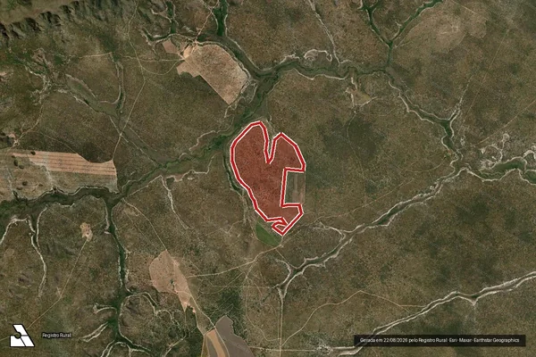 Imagem de satélite — Embargo IBAMA — Infração da Flora - Arinos/MG