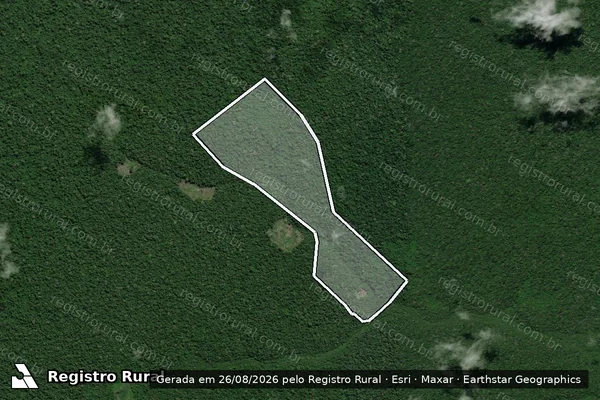 Imagem de satélite de Infração da Flora em Portel - PA
