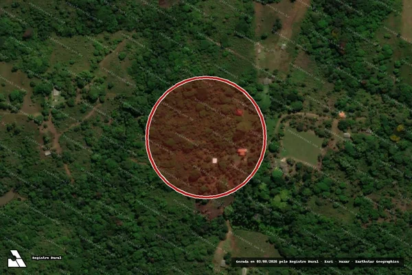 Imagem de satélite de Infração Ambiental em Ilhéus - BA