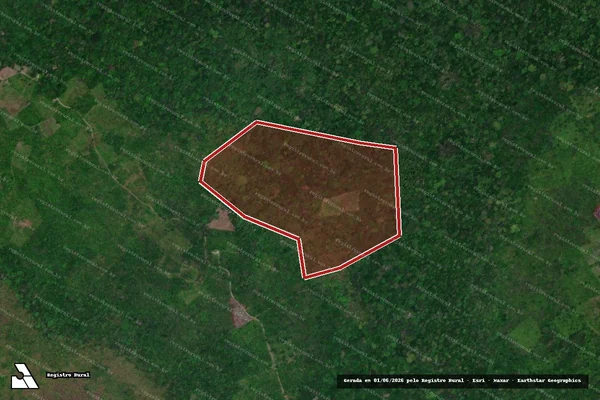 Imagem de satélite — Embargo IBAMA — Infração Ambiental — Colares/PA