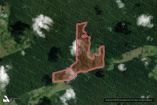 Imagem de satélite de Infração da Flora em Altamira - PA