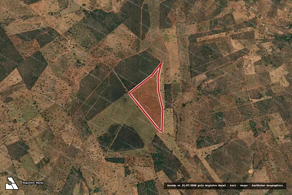 Imagem de satélite de Infração da Flora em Icaraí de Minas - MG