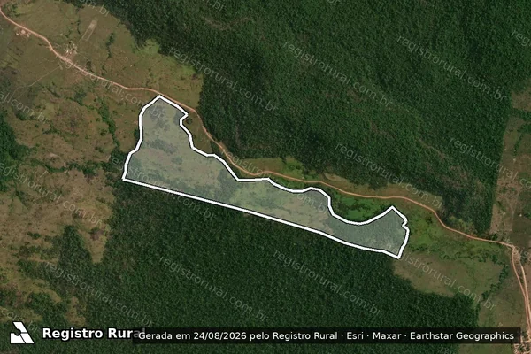 Imagem de satélite de Infração da Flora em São Félix do Xingu - PA