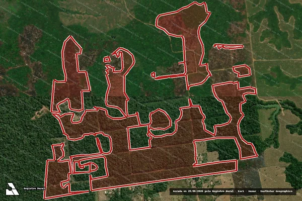 Imagem de satélite — Embargo IBAMA — Infração da Flora - Porto Velho/RO