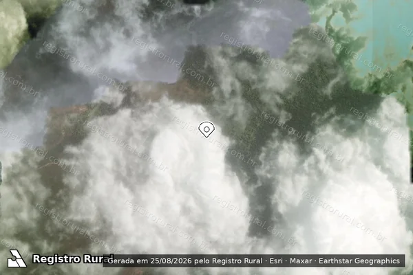 Imagem de satélite — Embargo IBAMA — Infração da Flora - Brasil Novo/PA