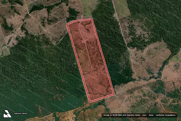 Imagem de satélite de Infração da Flora em Novo Progresso - PA