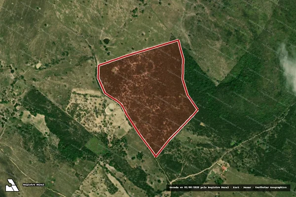 Imagem de satélite de Infração Ambiental em Tobias Barreto - SE